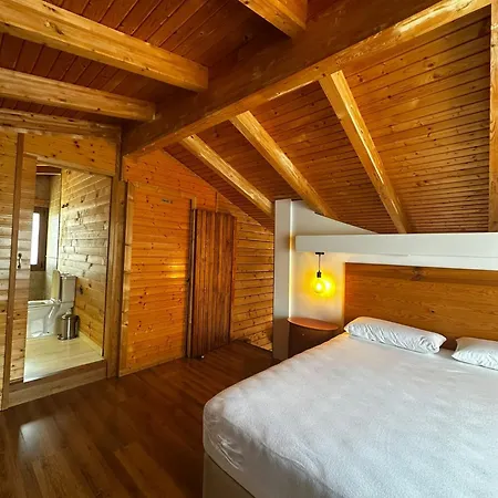 Cosette Wood Dreams Villa Calonge (Catalonia)